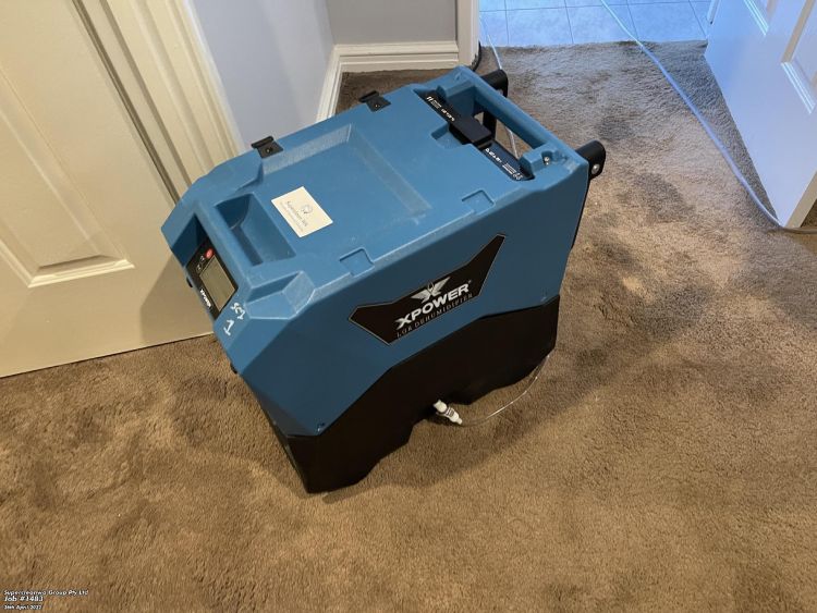 Affordable Carpet cleaning with high quality results